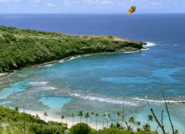 Hawai Honolulu Playa